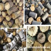 Удельная теплотворная способность древесины определяется количеством горючего материала в единице веса или объёма топливного вещества