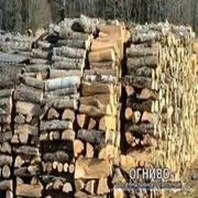 Дрова - соразмерные очагу куски древесины, используемые для разведения и поддержания в нем огня. По своему качеству, дрова - самое нестабильное топливо в мире.